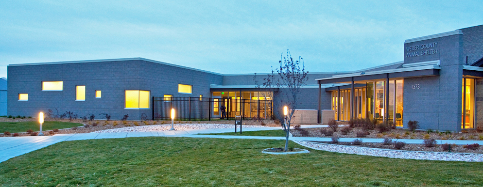 Animal Shelter